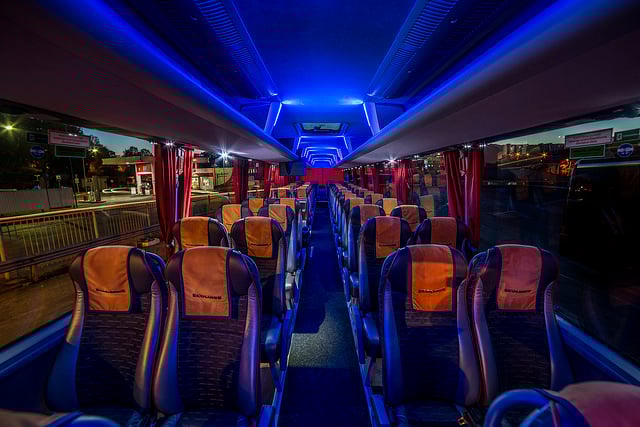 Современность ECOLINES